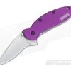 Kershaw Scallion Purple Assisted Flipper 1620PUR -EDC (Every Day Carry) Shop 1620pur 1 1