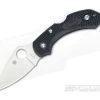 Spyderco Dragonfly 2 Plain VG10 Black FRN C28PBK2 -EDC (Every Day Carry) Shop c28pbk2 1